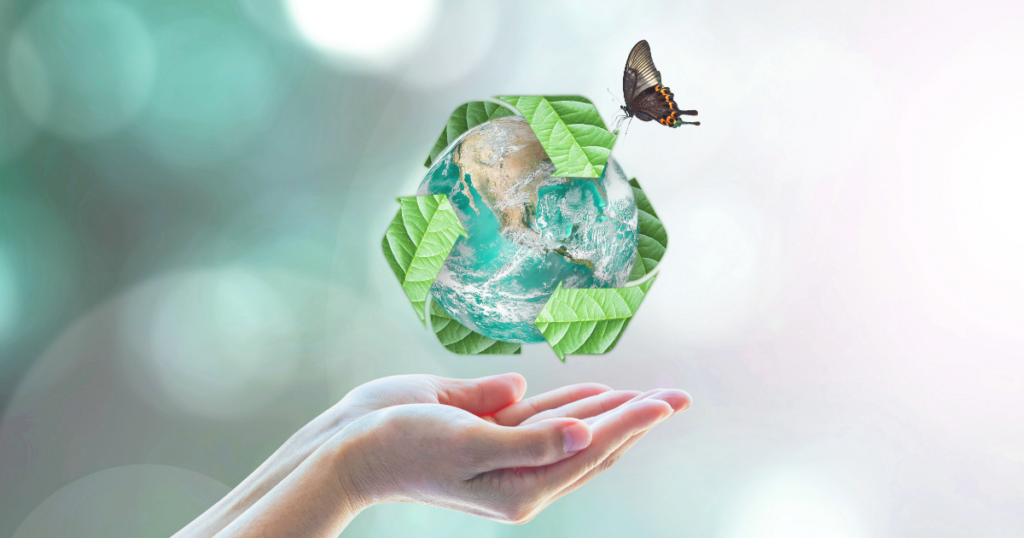 ecology
